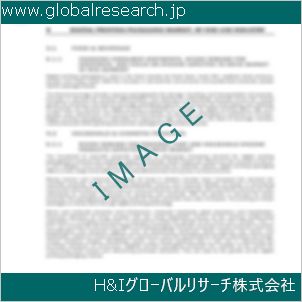 グローバルリサーチ調査資料のイメージ
